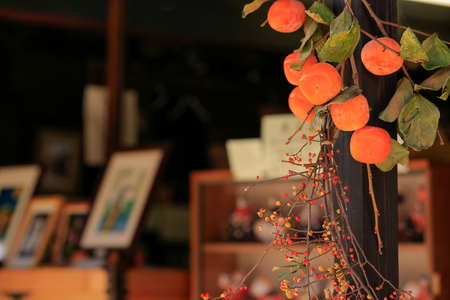 It is a tour of the city of Kyoto and Edo (Tokyo).の写真素材