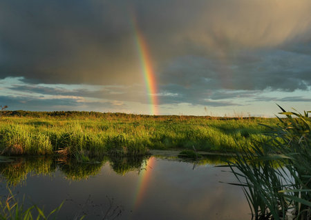 The evening rainbow. The June evening, Russia, Moscow area.の写真素材