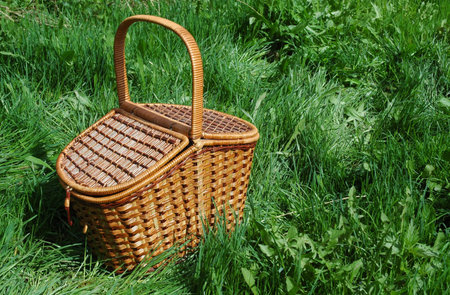 The basket for picnic. My garden, June 2005.