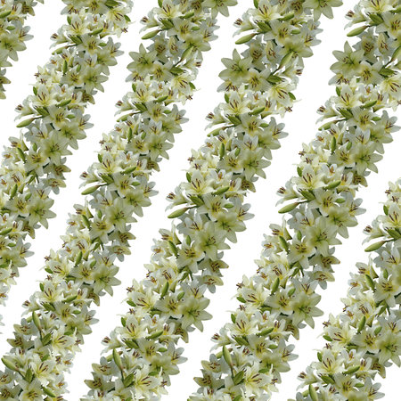 Decorative background with natural flowersの写真素材