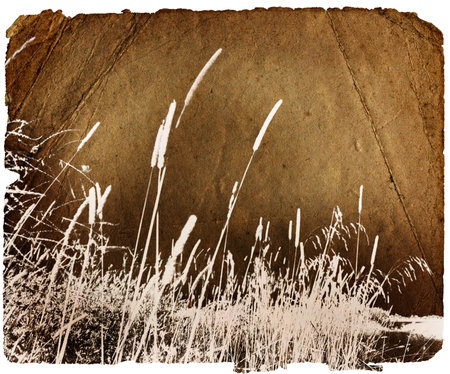 Leaf of the old turned yellow paper with a landscapeの写真素材