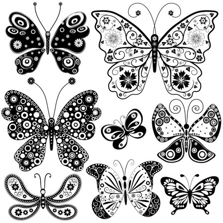 Collection black and white butterflies for designのイラスト素材