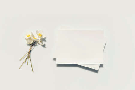 Mockup poster or flyer, invitation, empty white paper and anemones flowers with hard shadows on a gray background in elegant minimalist style. Wedding card. Stationeryの写真素材
