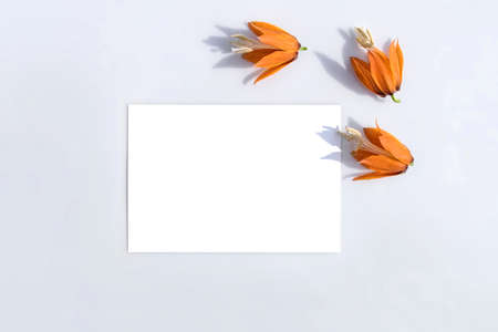 Mockup poster or flyer for presentation, stationery and frutillaria flowers with hard shadows on a gray background in a elegant modern minimalist style. Congratulations blank or invitationの写真素材