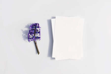 Mockup poster or flyer for presentation, white paper with hyacinth flower and shadows on a gray background in a elegant modern minimalist style. Congratulations blank, business card or invitationの写真素材