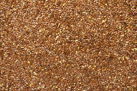 Flax seed texture.の写真素材