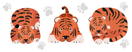 set of Tigers. Stylized cute animals of different poses. Funny cartoon character. Colorful vector...