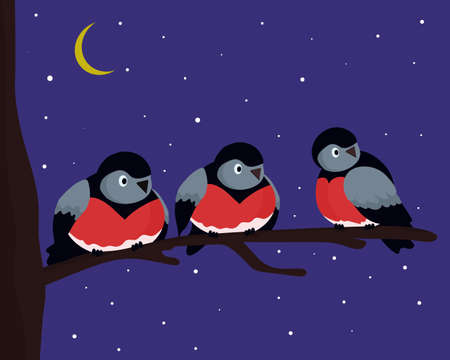 Bullfinches. Three birds sitting next to each other on a tree branch. Bright night, moon in the sky, it is snowing. Vector flat illustration.のイラスト素材