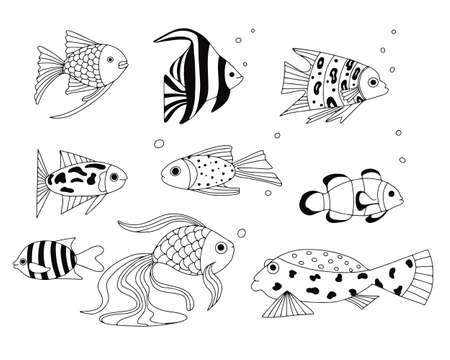 Set of exotic coral reef fish. Underwater swimming animals. Tropical fish for the aquarium. vector cartoon hand drawn elements for design.のイラスト素材