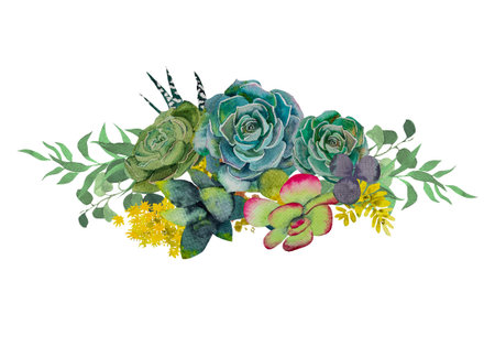 A collection of stylish watercolor succulents, flowers. Watercolor Set of succulents. a set of elements for the design of postcardsの写真素材