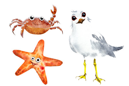 Watercolor illustration of a cartoon seagull, crab and starfish. A seagull with glasses, a crab and a star on the beach, tropics, watercolor drawing, on a white backgroundの写真素材