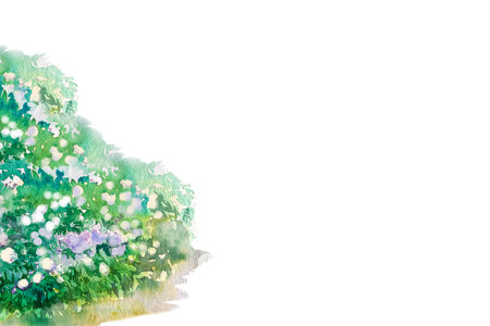Watercolor illustration of hydrangea bush and branches. Blue, pink, white tender hydrangea.の写真素材