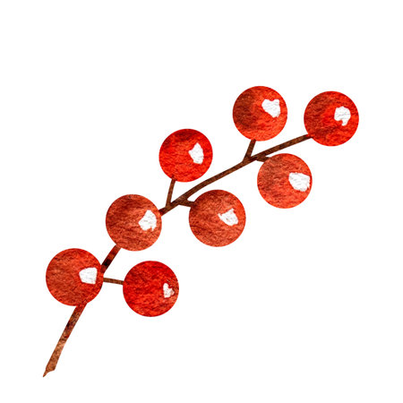 Watercolor illustration of a twig with red berries, hand drawn decoration, New Year.の写真素材