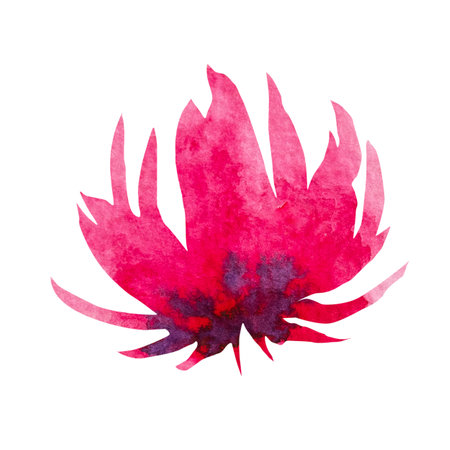 watercolor floral, delicate abstract flowers, red, blue and pink flowers.の写真素材