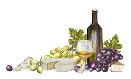 Watercolor illustration, wine composition with a bottle of wine, different types of cheese and grapes. Wine set for various designs.の写真素材