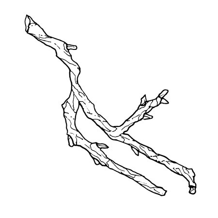 Monochrome branches of magnolia, hand drawn. black and white vector illustration of magnolia branches.のイラスト素材