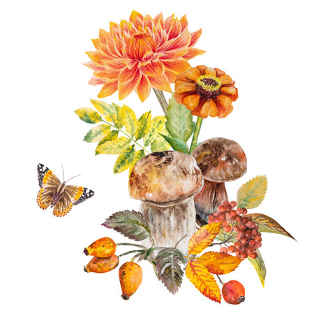 Watercolor illustration beautiful autumn composition with berries, autumn flowers, mushrooms and insects. Hand drawn autumn composition with plants, mushrooms and insects.の写真素材