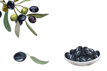 Olive berries in a white plate, olive branches with berries and leaves, watercolor illustration. Hand drawn watercolor clipart of olive berries in a plate.の写真素材