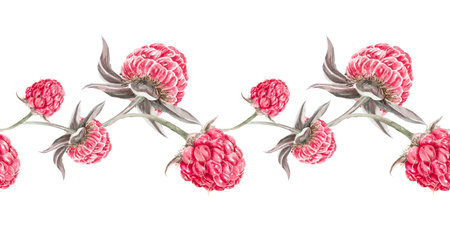 Seamless border with raspberries. Watercolor illustration with raspberries, hand painted in...
