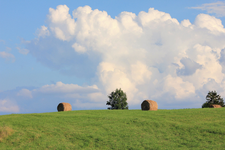 Dry haystacks after harvest captured on the hill with a green summer field bachgrounded with big clouds and blue skyの写真素材