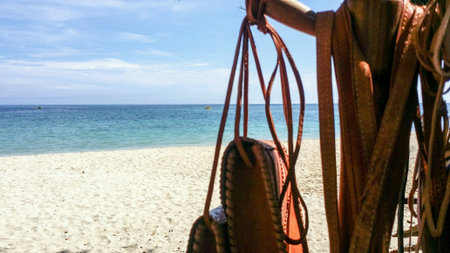 Leather goods displayed on tree branch with tropical beach  の素材