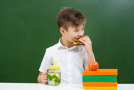 The boy has lunch at school. Against the background of a green school board, a stack of books is standing nearby. Boy eating a sandwich and drinking lemonadeの写真素材