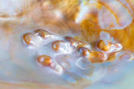mother of pearl texture, seashell, macroの写真素材