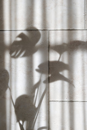 shadow of monstera leaves on a beige ceramic wall. trendy concept minimalism.