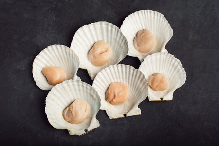 Scallops in the shells. Set. On a black background. Close up.の写真素材