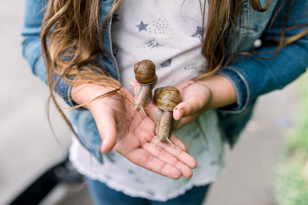 The girl holds in her palms two large grape snails sticking out of the shell.の写真素材