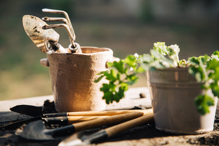Two flower pots with the inscription. In one flower seedlings and nearby on the table are garden tools.の写真素材