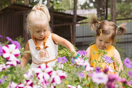 Two little girls sisters watering flowersの写真素材