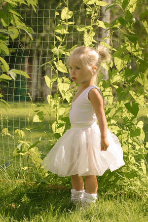 Little girl ballerina in a tutu in the gardenの写真素材