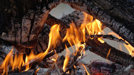 flame on coals in a campfire