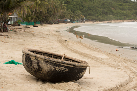 Vietnamese basket Boat Thung Chai in the sand on the seashoreの写真素材