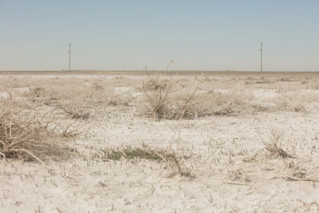 Salt marshes in place of the dried Aral sea.の写真素材