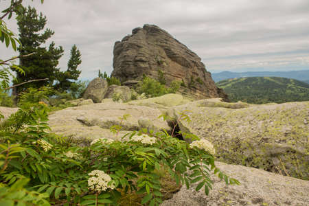 large kurum stones lie in the forest in the mountains, stones covered with moss, against the background of the forest, mountain landscape, high in the mountains ..の写真素材