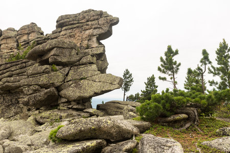 large kurum stones lie in the forest in the mountains, stones covered with moss, against the background of the forest, mountain landscape, high in the mountains ..の写真素材