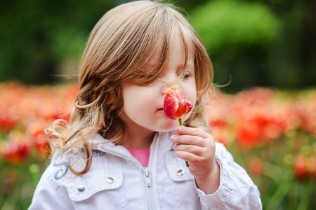 Cute little curly hair blonde girl smelling a tulipの写真素材