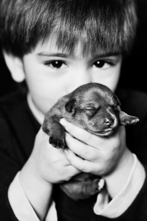 Boy tenderly kisses a newborn puppy, black and white shotの写真素材