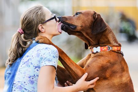 pregnant girl wearing glasses embracing and kissing dogの写真素材