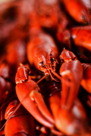 fresh hot red crawfish with lemon on dark wood table, close upの写真素材