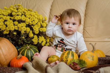Cute baby girl surrounded with autumn flowers and pumpkins, studio shot, close upの写真素材