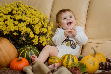 Cute baby girl surrounded with autumn flowers and pumpkins, studio shot, close upの写真素材