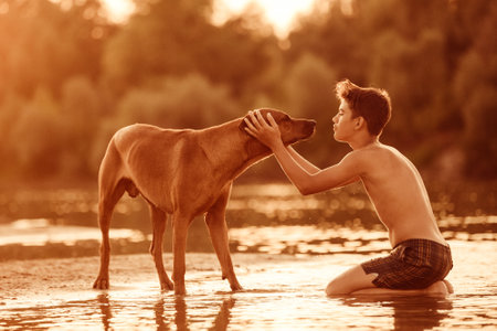 Boy having fun with dog playing at river beach at summer sunsetの写真素材