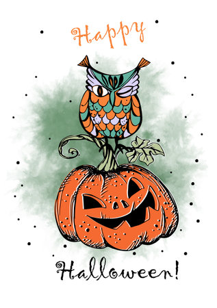 A Halloween greeting card. Owl with pumpkin. Vector.のイラスト素材