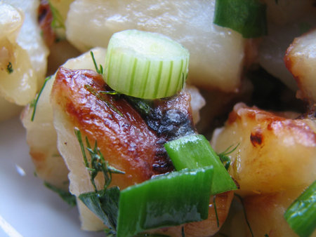 Appetizing potatoの写真素材