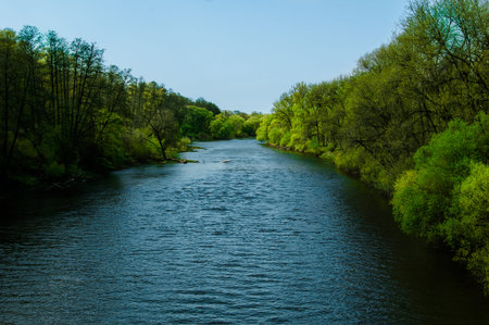 A wide river with trees growing along its banks