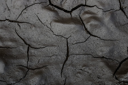 Background texture of dried black mud close up