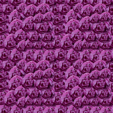 Pattern texture of pink peony flowers